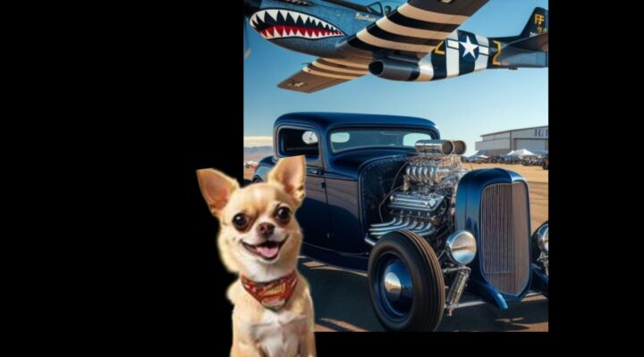 Wings, Wheels and Wawas Show