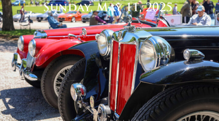 All British & European Car Day 2025