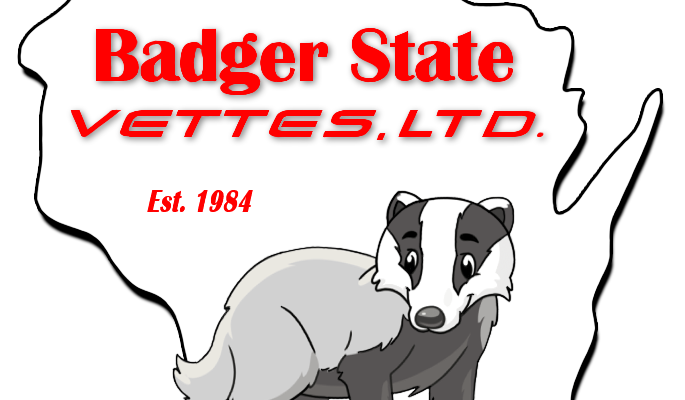 Badger State Vettes all Corvette show