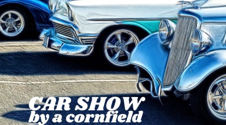 Car Show by a Cornfield