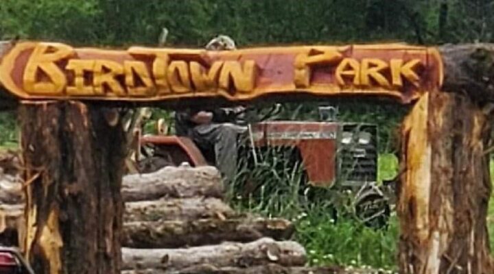 4th Annual Birdtown Community Park Car Show