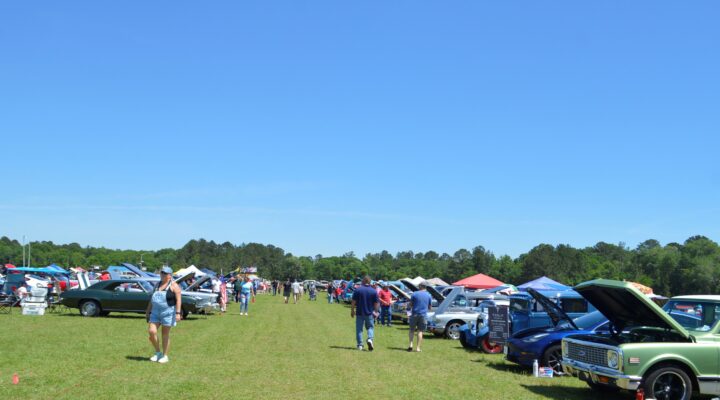 Albany SOWEGA Car Show/Swap Meet/Arts and Crafts Festival