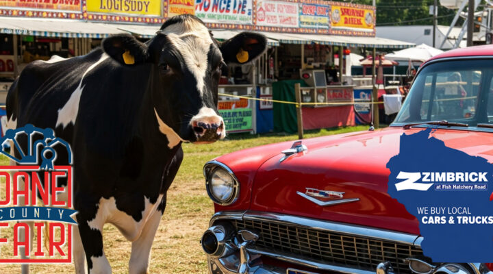 Cars & Cows Showcase
