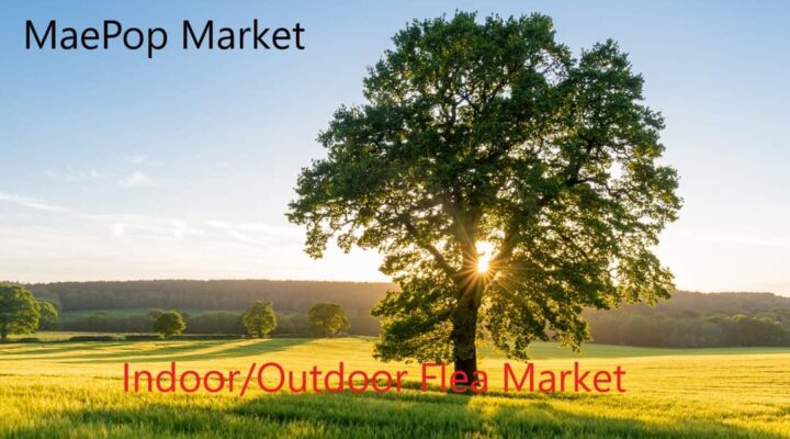 Maepops Texas Holdem Car show