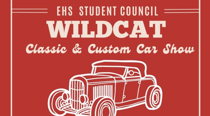 Wildcat Classic & Custom