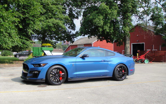 A Day At The Park  Mustang and Ford Show