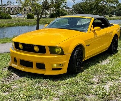 2022 CRUISE #2