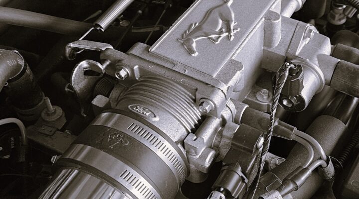 Glenna’s Freedom Festival