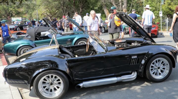 21st Annual Orinda Classic Car Show