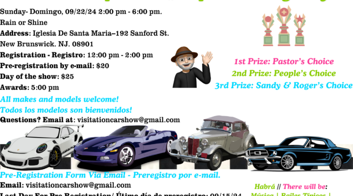 THE CAR SHOW