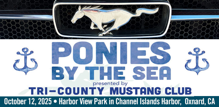 Ponies by the Sea
