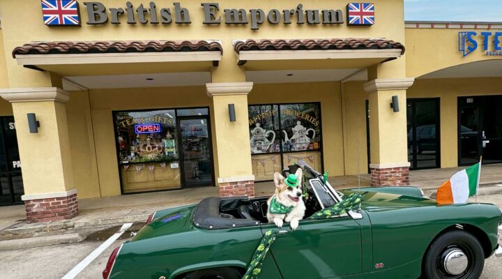 St. Patrick’s Day Classic British Car & Motorcycle Show and Corgi Parade **FREE**
