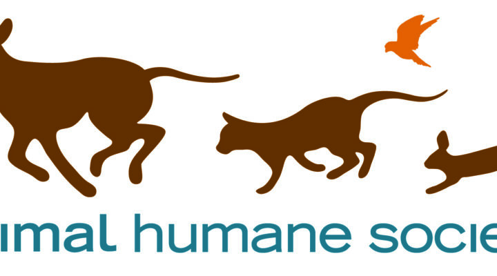 Madison County Humane Society Charity Car show