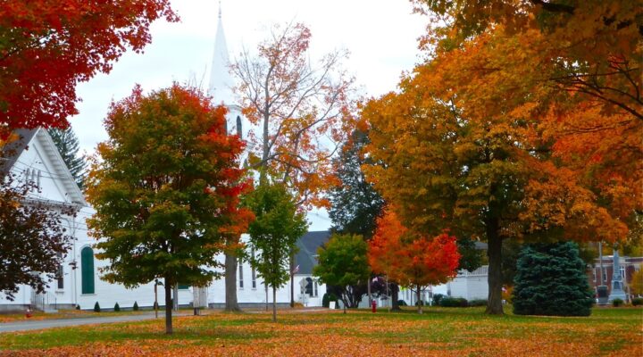 Belchertown Lions Club Cruisin’ the Common Car Show