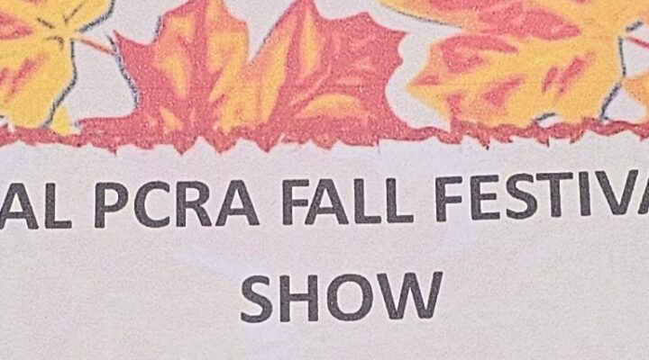 5th Annual Fall Fest and Car Show