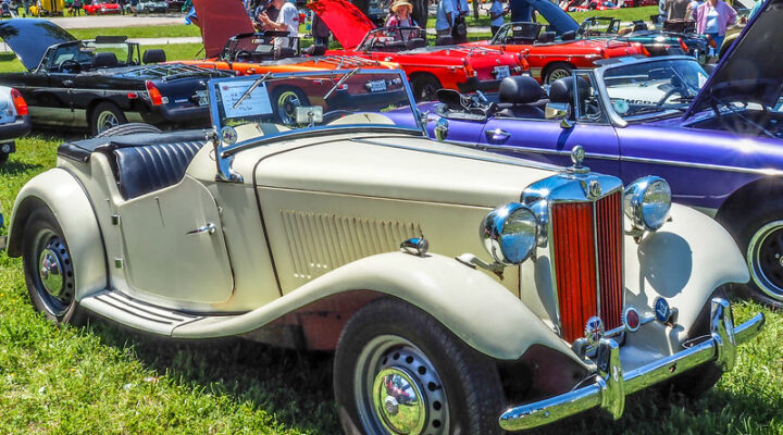 All British & European Car Day